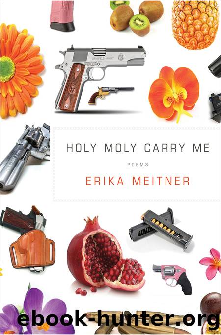 Holy Moly Carry Me by Erika Meitner