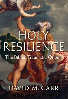 Holy Resilience by David M. Carr