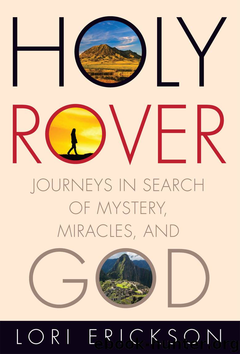 Holy Rover by Lori Erickson
