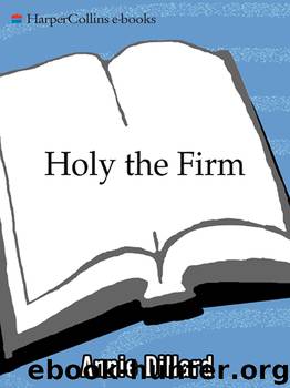 Holy the Firm by Annie Dillard