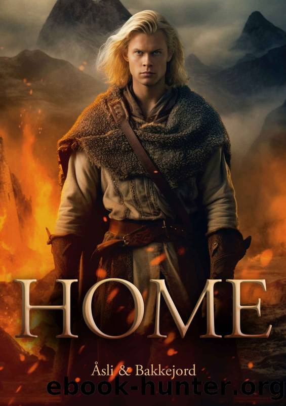 Home (Viking Ventures Book 4) by Ole Åsli & Tony Bakkejord