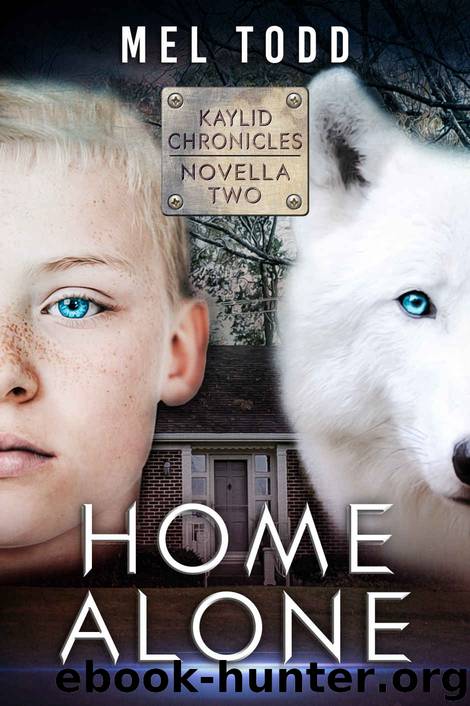 Home Alone by Mel Todd