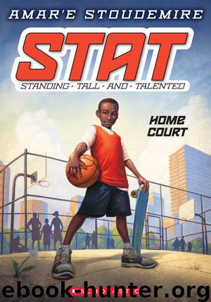 Home Court by Amar'e Stoudemire