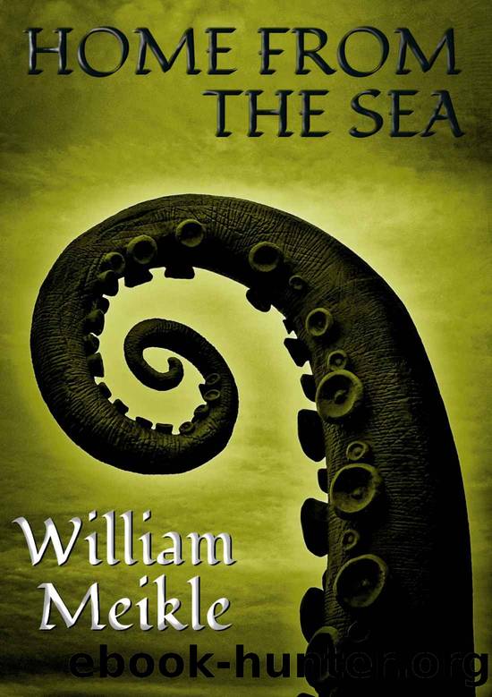 Home From The Sea by Meikle William