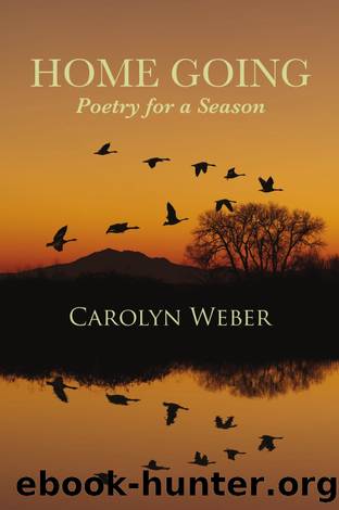 Home Going by Carolyn Weber