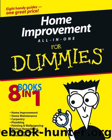 Home Improvement All-in-One For Dummies by unknow