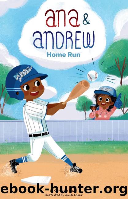 Home Run by Christine Platt