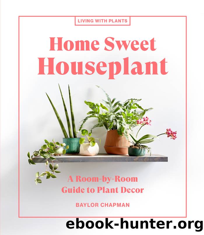 Home Sweet Houseplant by Baylor Chapman