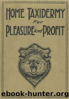 Home Taxidermy for Pleasure and Profit A Guide for Those Who Wish to Prepare and Mount Animals, Birds, Fish, Reptiles, etc., for Home, Den, or Office Decoration by Albert Burton Farnham