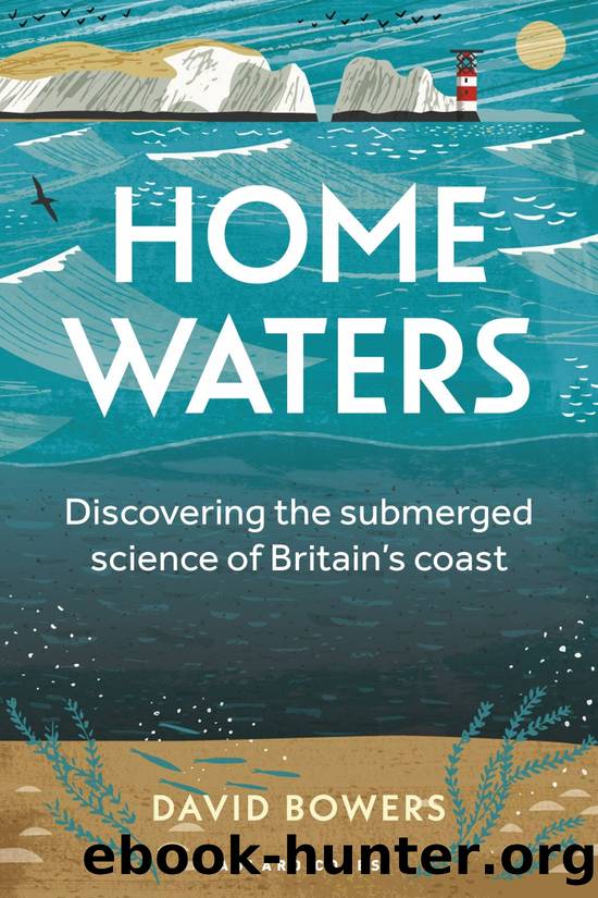 Home Waters by David George Bowers