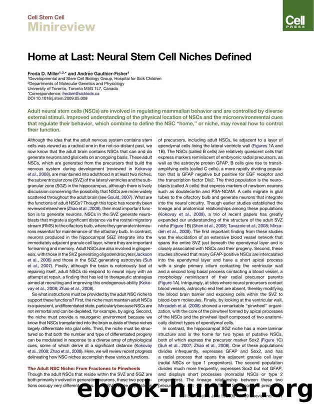 Home at Last: Neural Stem Cell Niches Defined by Freda D. Miller; AndrEe Gauthier-Fisher