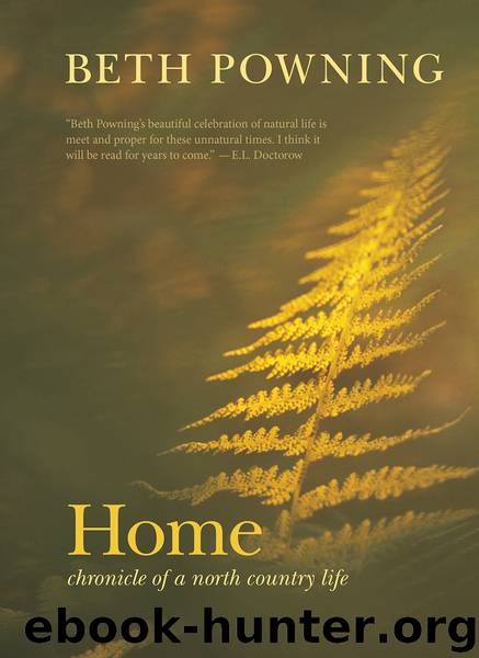 Home by Beth Powning