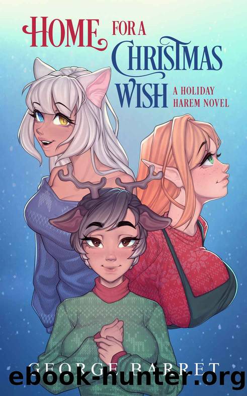 Home for a Christmas Wish by Barret George