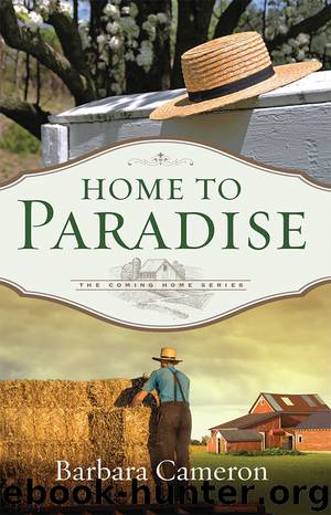 Home to Paradise by Cameron Barbara;
