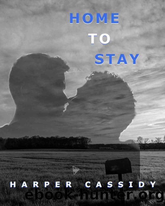 Home to Stay (Southern Boys Book 2) by Harper Cassidy