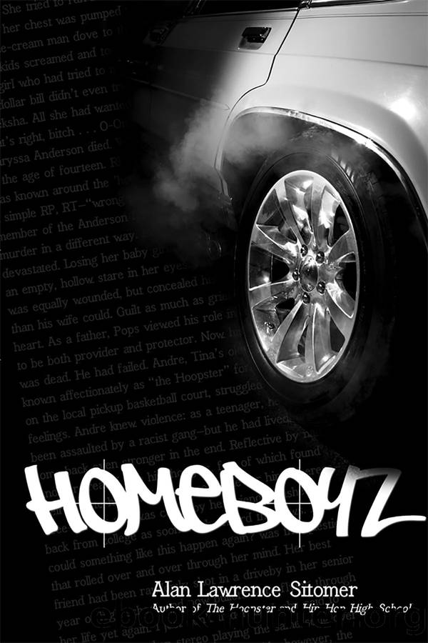 Homeboyz by Alan Lawrence Sitomer