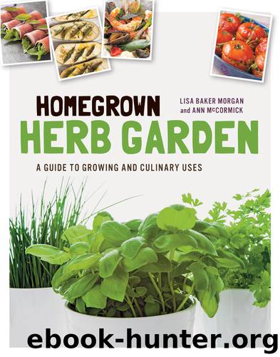 Homegrown Herb Garden by Lisa Baker Morgan