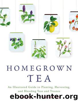 Homegrown Tea: An Illustrated Guide to Planting, Harvesting, and Blending Teas and Tisanes by Cassie Liversidge