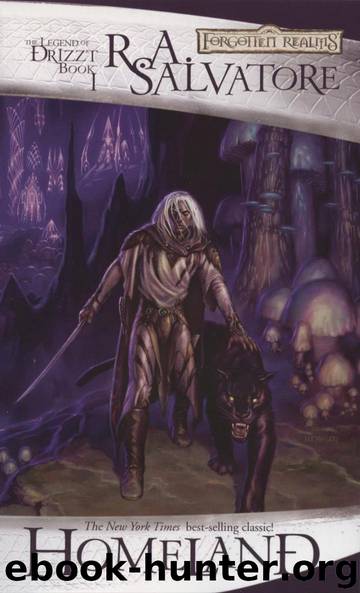 Homeland by R.A. Salvatore