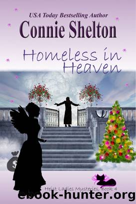 Homeless in Heaven by Connie Shelton