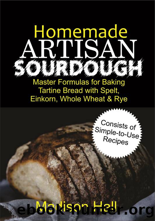 Homemade Artisan Sourdough: Master Formulas for Baking Tartine Bread with Spelt, Einkorn, Whole Wheat & Rye by Madison Hall