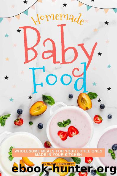 Homemade Baby Food: Wholesome Meals for Your Little Ones Made in Your Kitchen by Daniel Humphreys