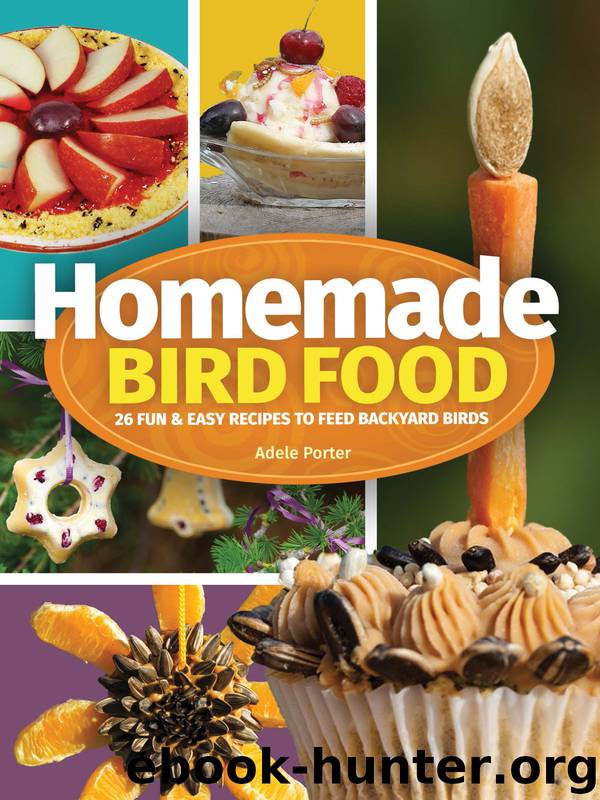 Homemade Bird Food by Adele Porter