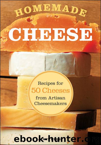 Homemade Cheese by Janet Hurst