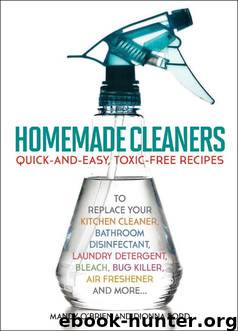 Homemade Cleaners by Dionna Ford