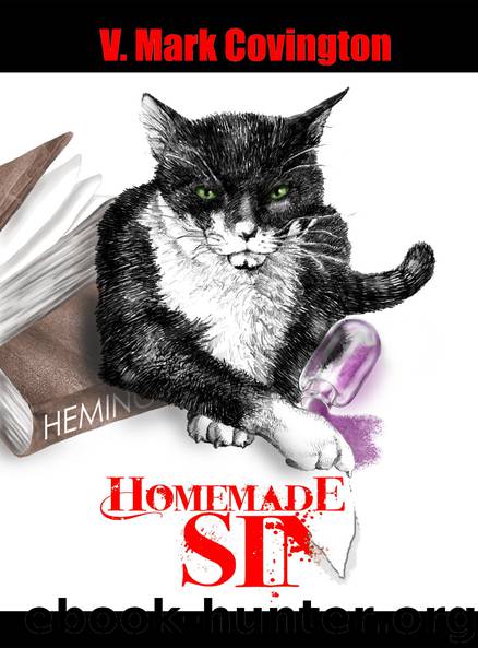 Homemade Sin by V. Mark Covington