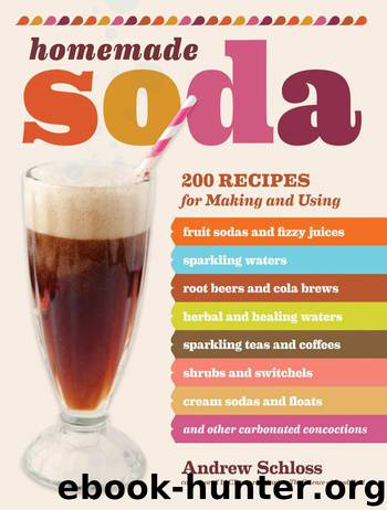 Homemade Soda by Andrew Schloss