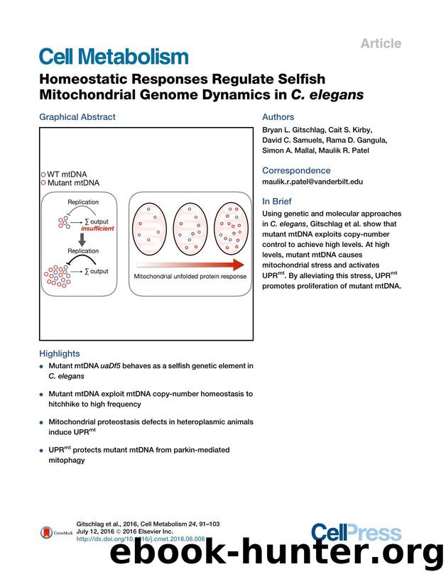 Homeostatic Responses Regulate Selfish Mitochondrial Genome Dynamics in C.&nbsp;elegans by unknow