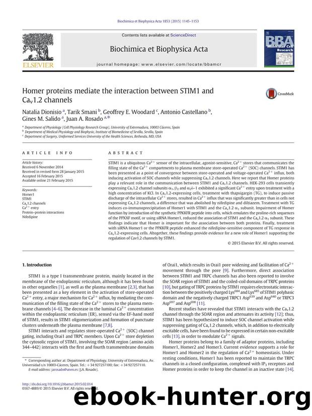Homer proteins mediate the interaction between STIM1 and Cav1.2 channels by unknow