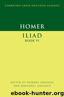 Homer: Iliad Book VI (Cambridge Greek and Latin Classics) by Unknown