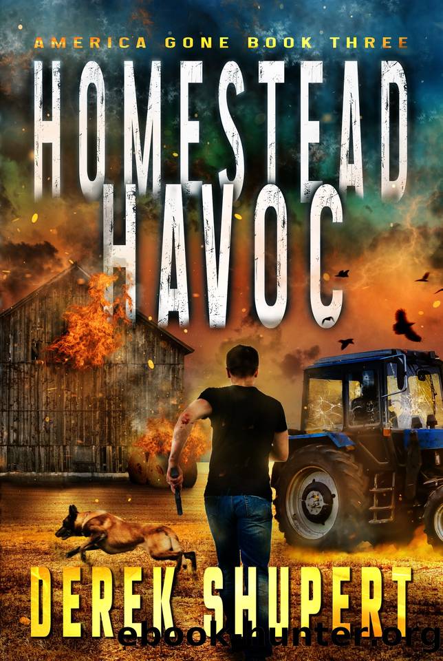 Homestead Havoc: A Post-Apocalyptic EMPCME Survival Thriller (America Gone Book 3) by Derek Shupert