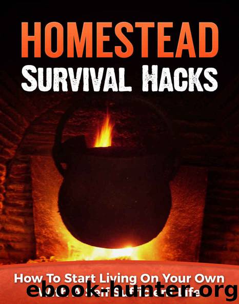 Homestead Survival Hacks: How to Start Living on Your Own with a Self-Sufficient Life (Homesteader, Backyard Homesteading Book 1) by Shane Reece