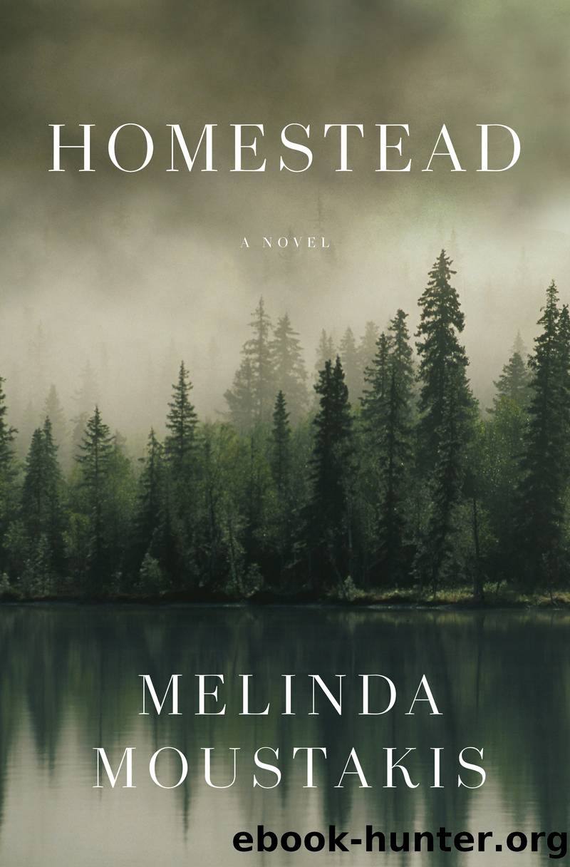Homestead by Melinda Moustakis