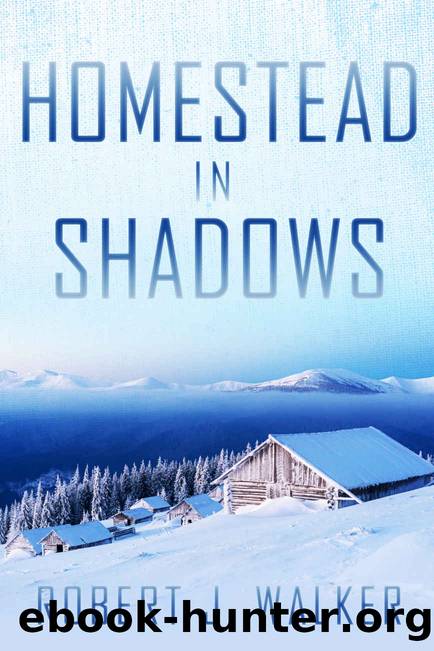 Homestead in Shadows: A Small Town Post Apocalypse EMP Thriller by Robert J Walker