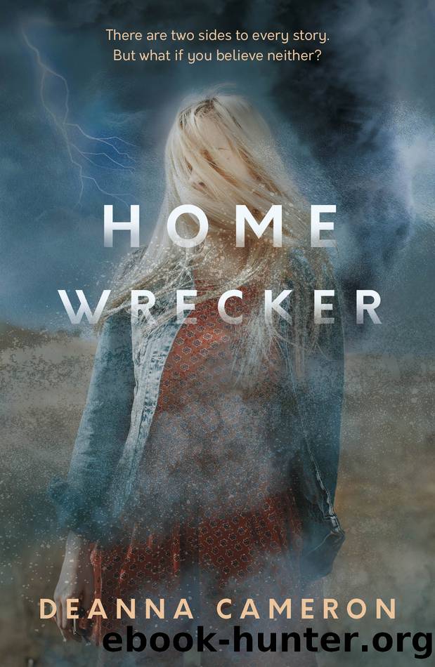 Homewrecker by Deanna Cameron