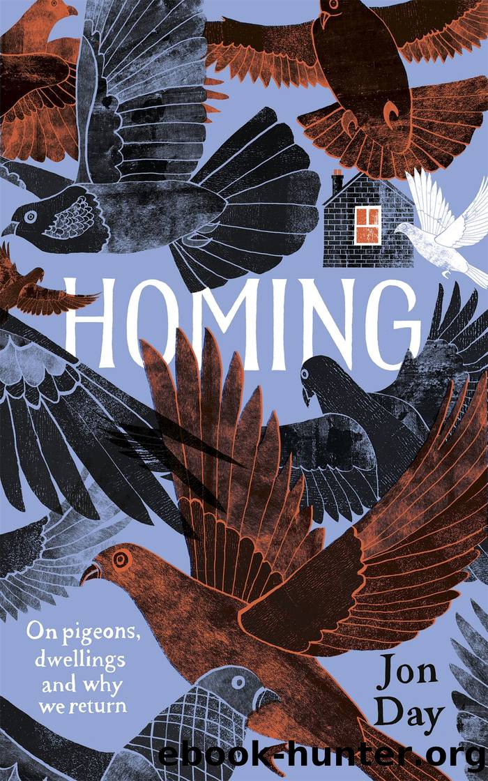 Homing by Jon Day