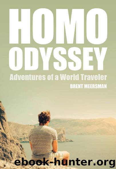 Homo Odyssey by Brent Meersman