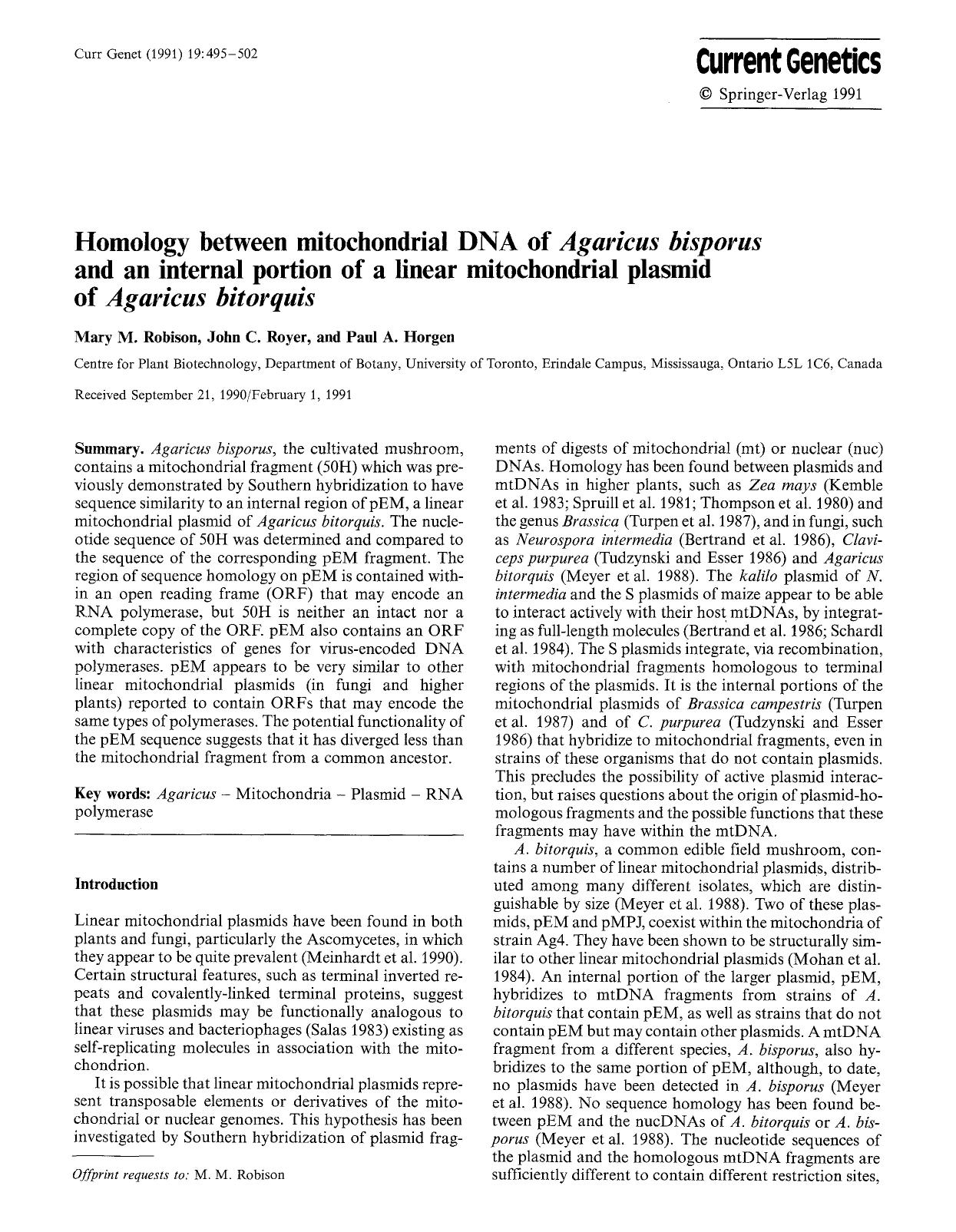 Homology between mitochondrial DNA of <Emphasis Type="Italic">Agaricus bisporus<Emphasis> and an internal portion of a linear mitochondrial plasmid of <Emphasis Type="Italic">Agari by Unknown