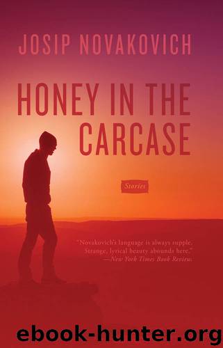Honey in the Carcase by Josip Novakovich