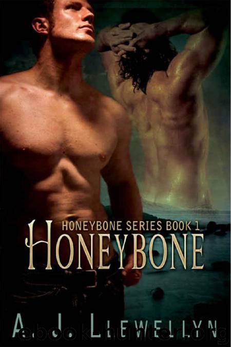 Honeybone by A.J. Llewellyn