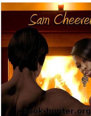 Honeybun Sheik by Sam Cheever