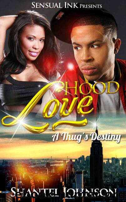 Hood Love Story 1: Hood Love: A Thug's Destiny by Shantel Johnson