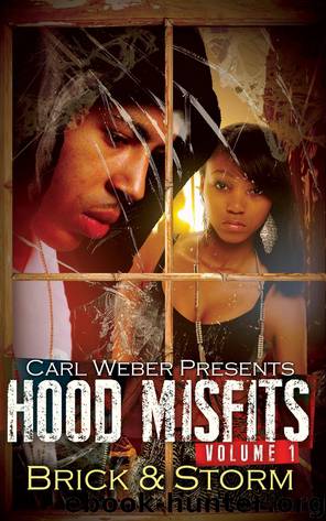 Hood Misfits, Volume 1 by Brick & Storm