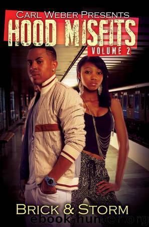 Hood Misfits, Volume 2 by Brick & Storm