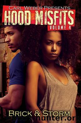 Hood Misfits, Volume 4 by Brick