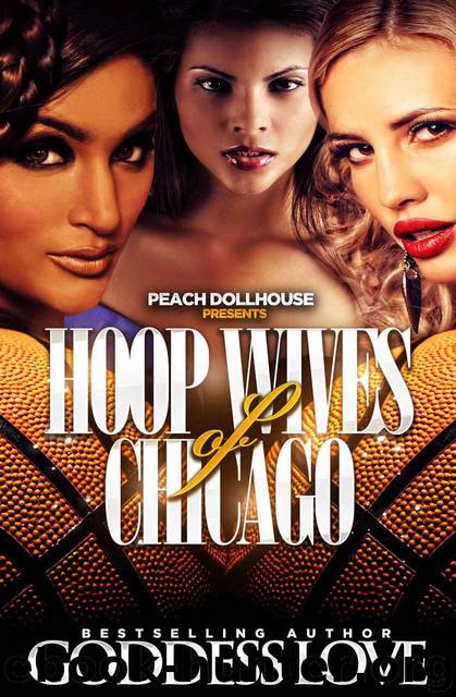 Hoop Wives of Chicago by Goddess Love